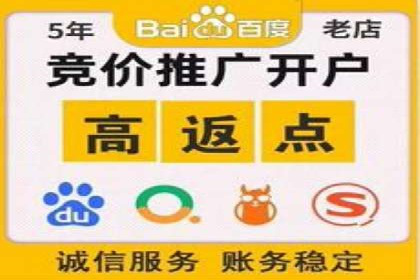 SEM主管案例分析：提升ROI策略